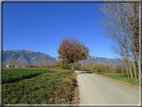 foto Alle pendici del Monte Grappa in Autunno